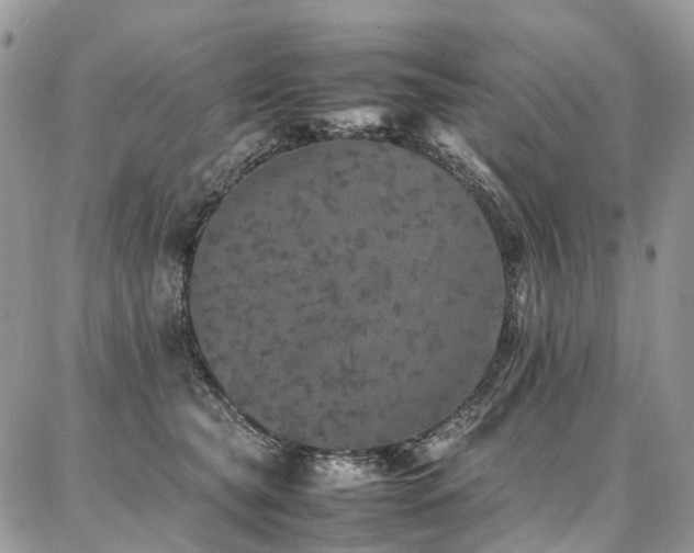 X0000087360565200704201150
