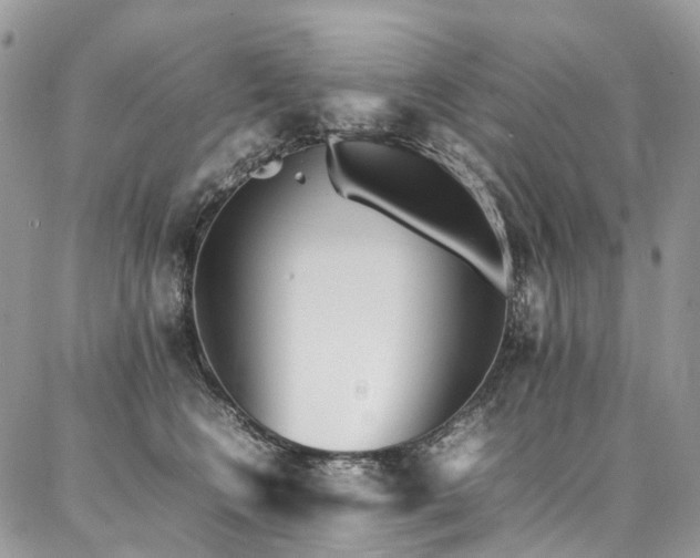 X0000087360566200704201150