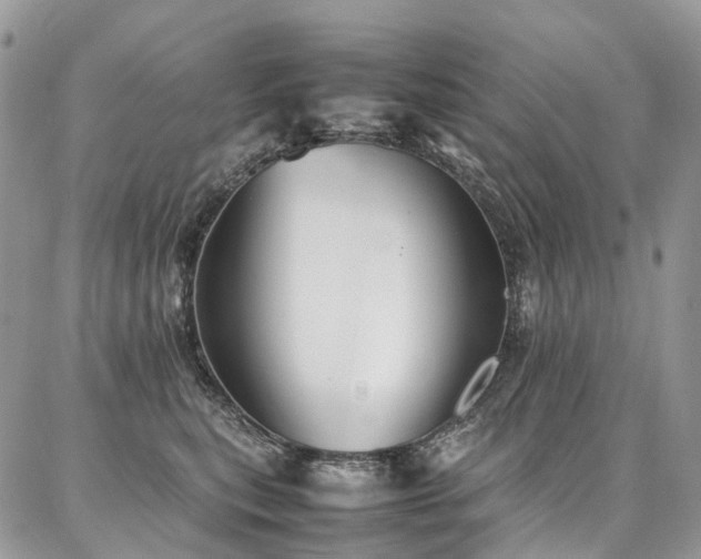 X0000087360567200704201150