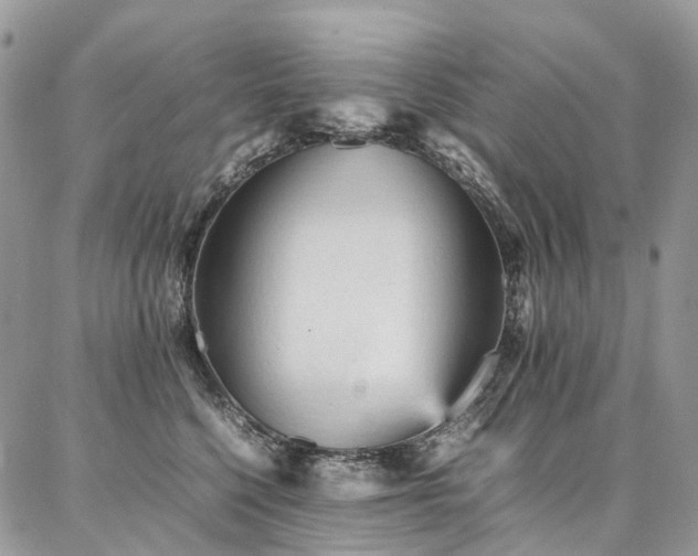 X0000087360568200704201150