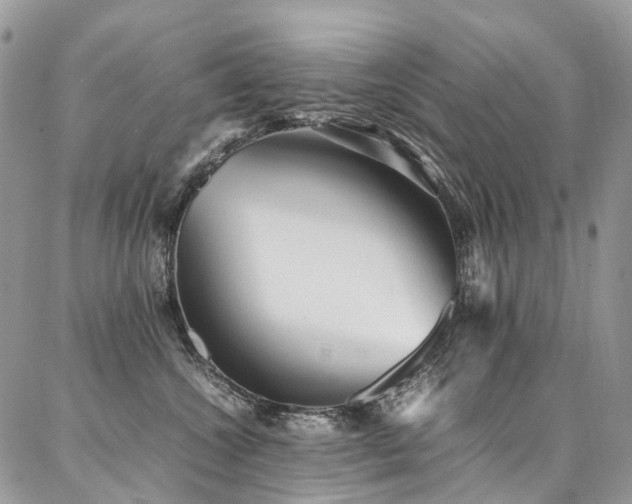X0000087360572200704201150