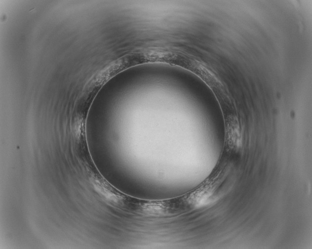 X0000087360574200704201150