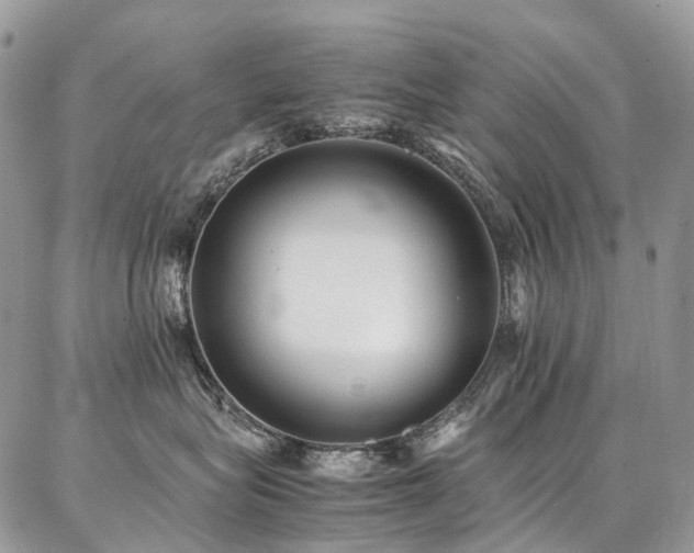 X0000087360575200704201150