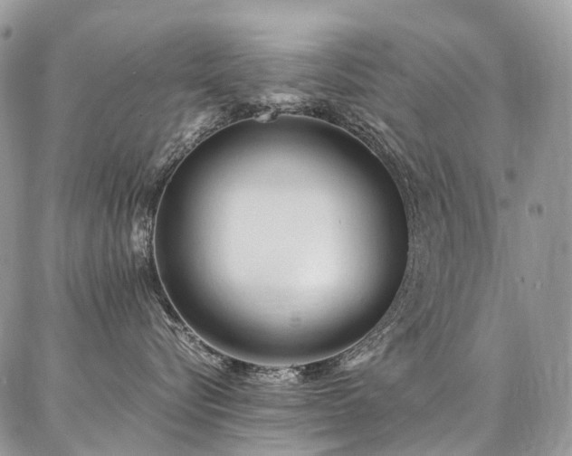 X0000087360576200704201150