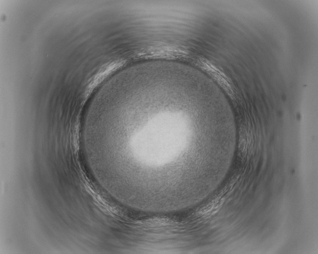 X0000087360578200704201149