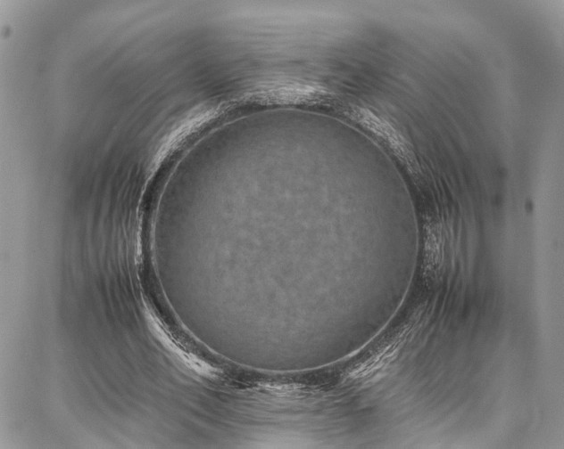 X0000087360582200704201149