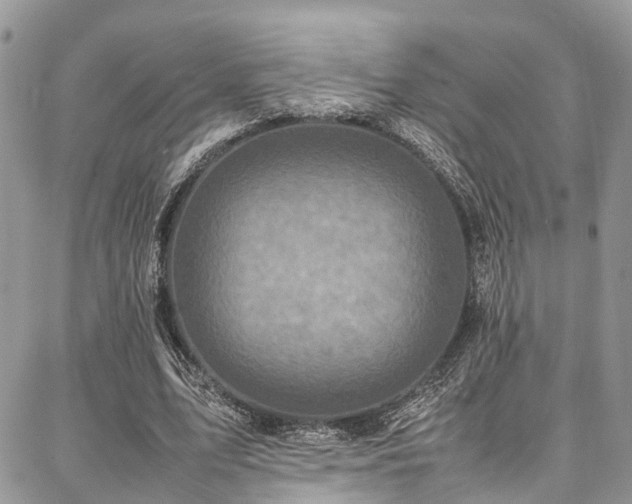 X0000087360583200704201149
