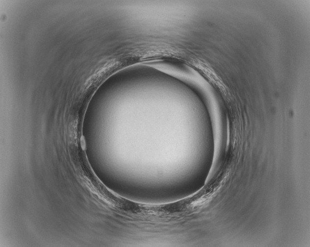 X0000087360585200704201149