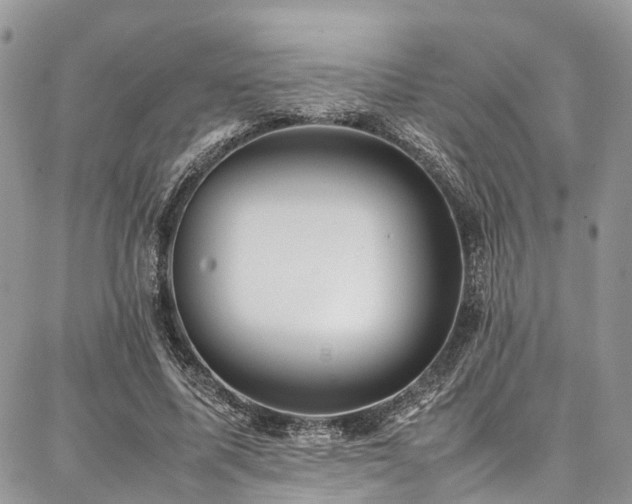 X0000087360587200704201149
