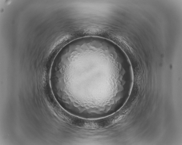 X0000087360591200704201149