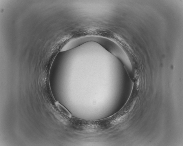 X0000087360593200704201149