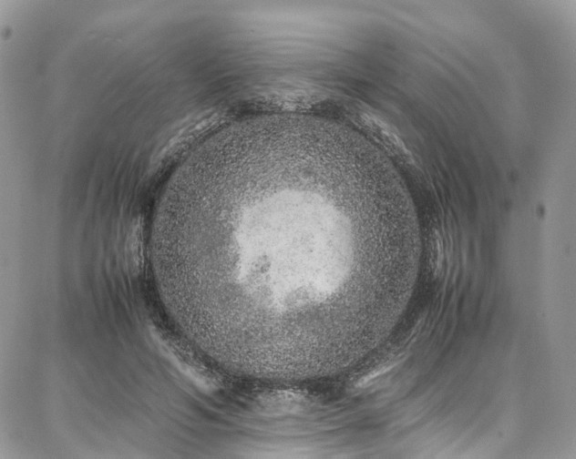 X0000087360594200704201149