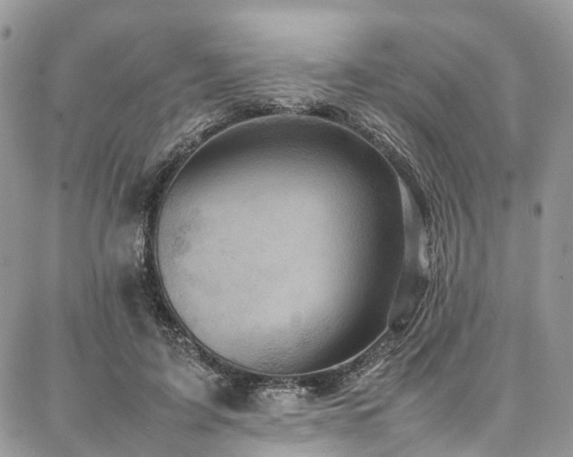 X0000087360595200704201149