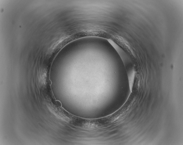 X0000087360596200704201149