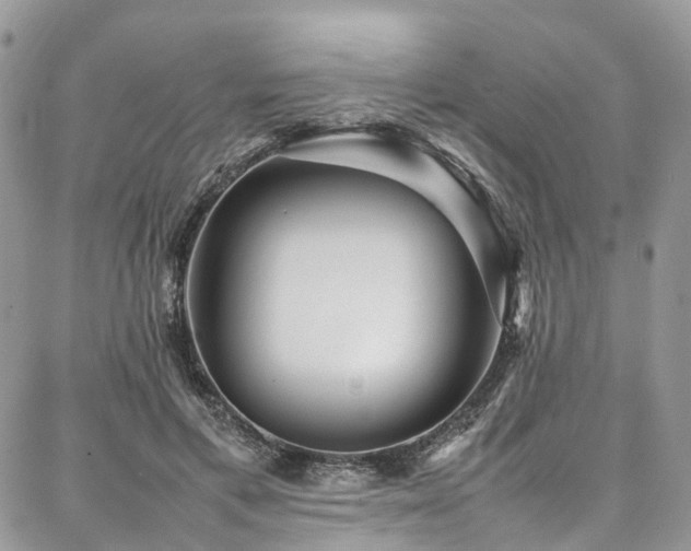 X0000087360597200704201149