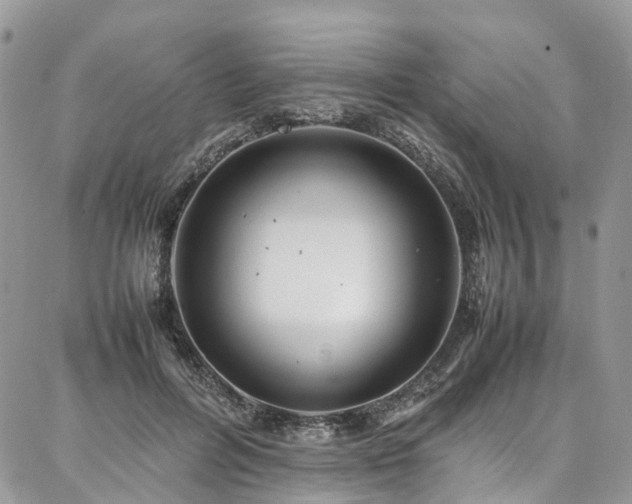 X0000087360600200704201149