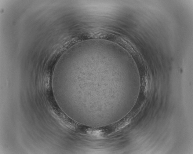 X0000087360602200704201149