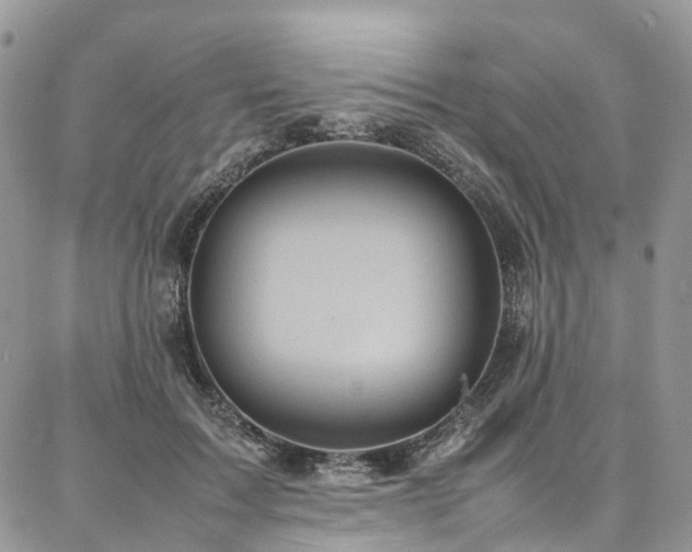 X0000087360603200704201149
