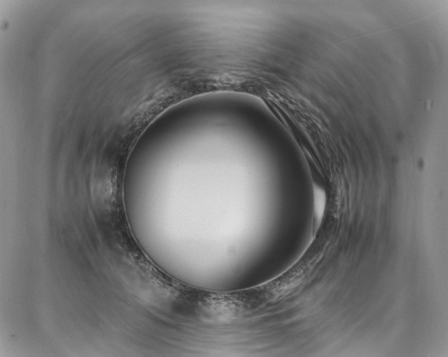 X0000087360608200704201149