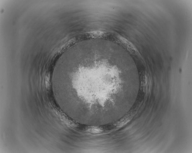 X0000087360610200704201149
