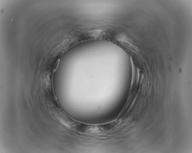 X0000087360611200704201149