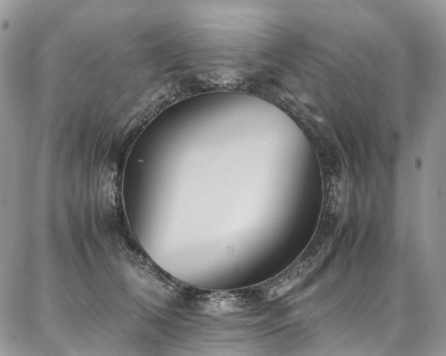 X0000087360612200704201149