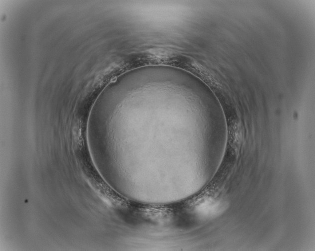 X0000087360615200704201149