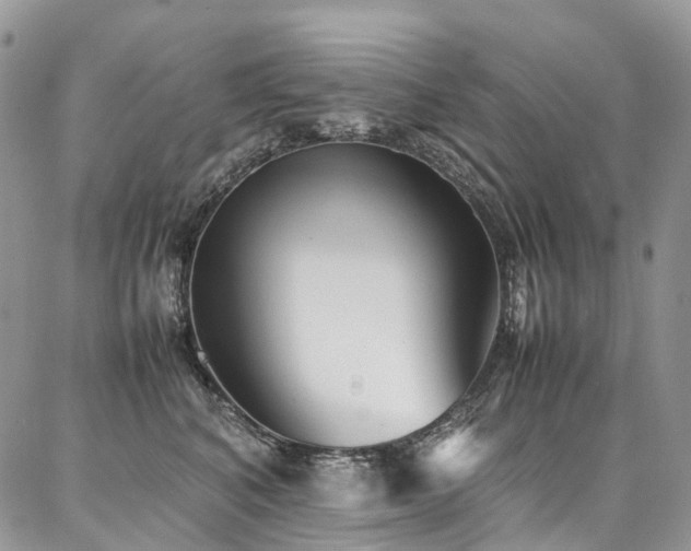X0000087360616200704201149