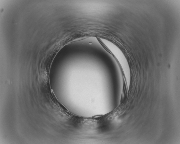 X0000087360617200704201149