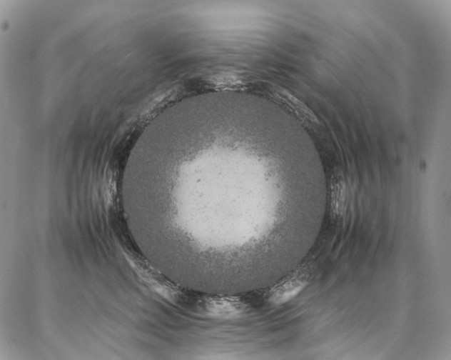 X0000087360618200704201149