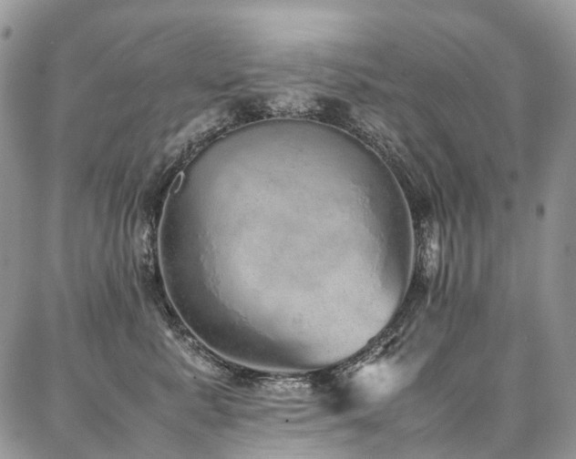 X0000087360619200704201149