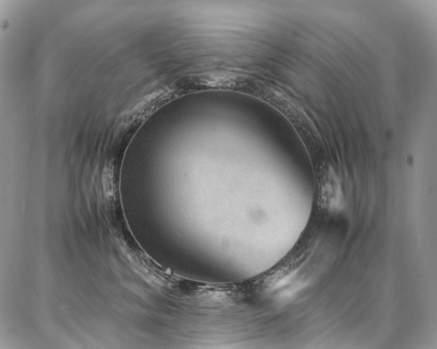 X0000087360620200704201149