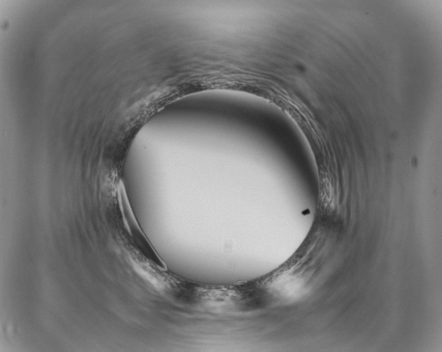 X0000087360621200704201149