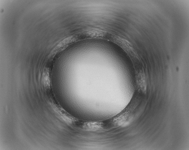 X0000087360622200704201149