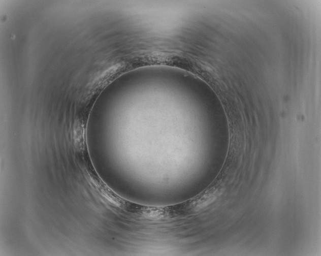 X0000087360624200704201149