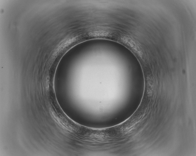 X0000087360631200704201148