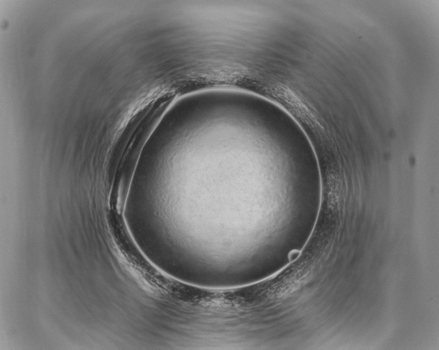 X0000087360634200704201148