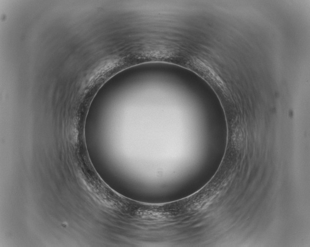 X0000087360635200704201148