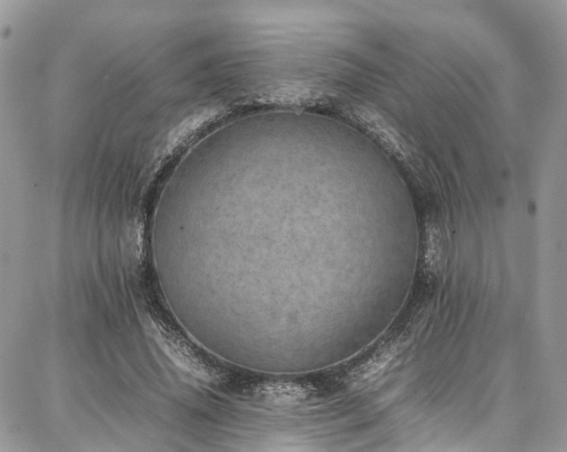 X0000087360636200704201148