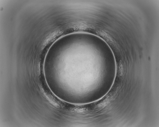 X0000087360638200704201148