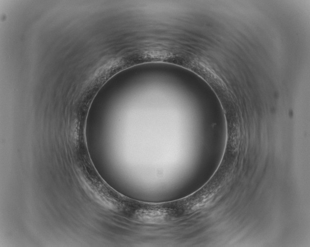 X0000087360639200704201148