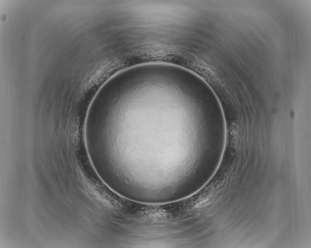 X0000087360642200704201148