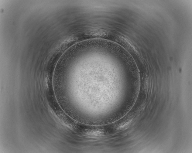 X0000087360643200704201148