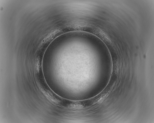 X0000087360644200704201148