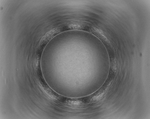 X0000087360645200704201148