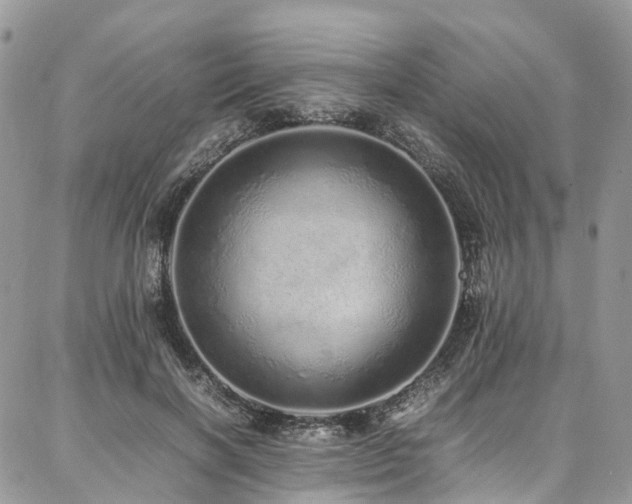 X0000087360646200704201148