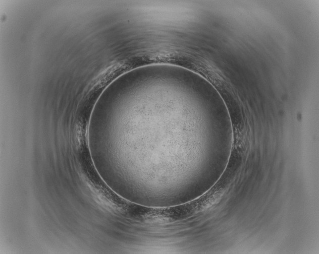 X0000087360648200704201148