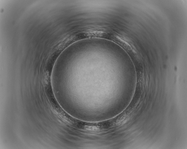 X0000087360649200704201148