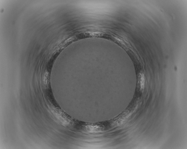 X0000087360650200704201148