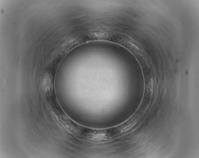 X0000087360651200704201148